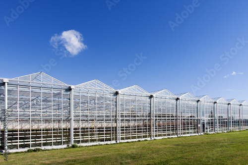 Greenhouse in Westland in the Netherlands