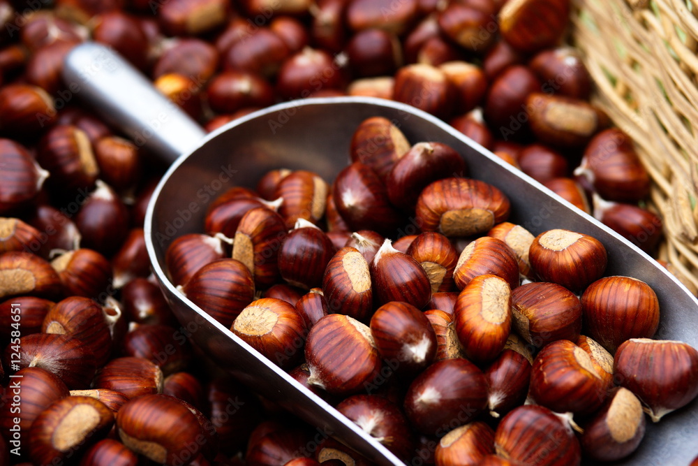 Fototapeta premium paletta piena di castagne