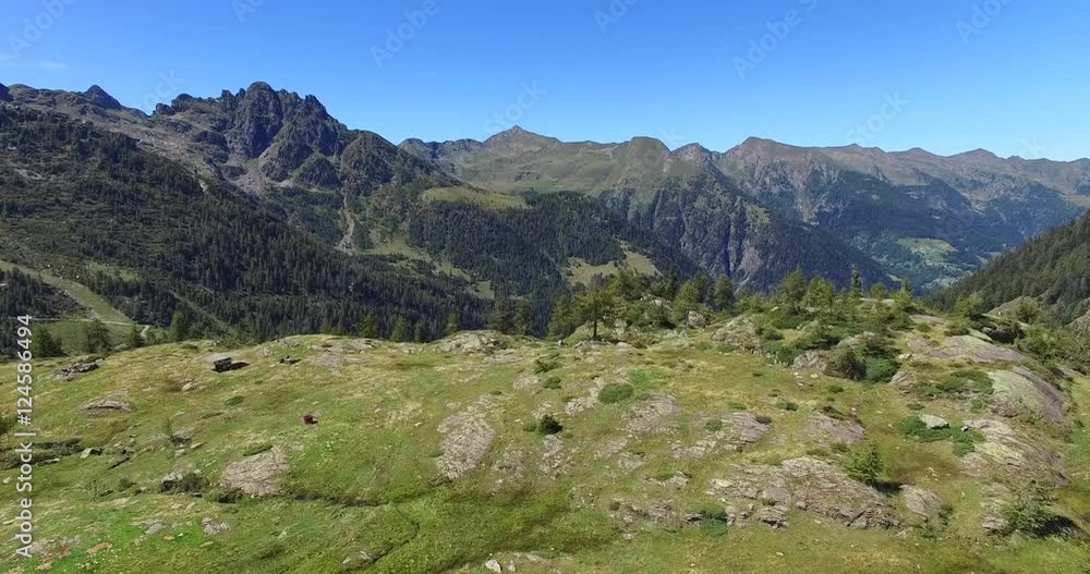 Val Gerola - Foreste e pascoli in estate Val Gerola - Foreste e pascoli in estate
