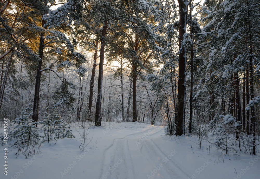 Small country road in winter Small country road in winter