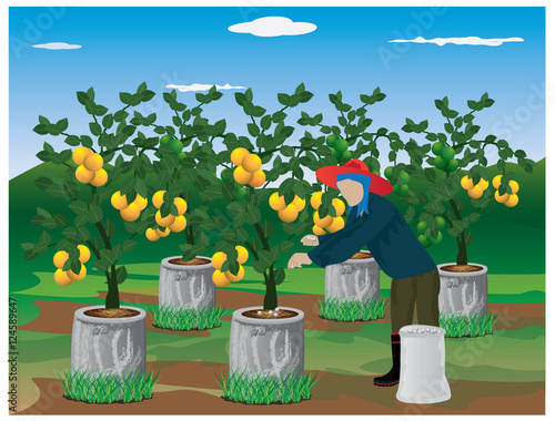 agriculturist manure lemon plant vector design