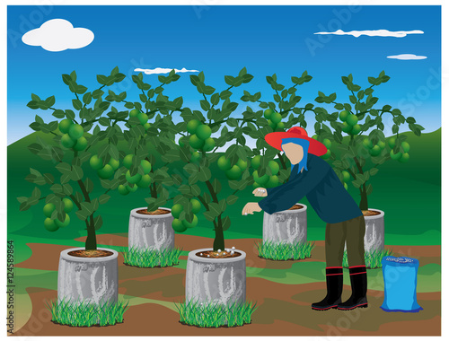agriculturist manure lemon plant vector design