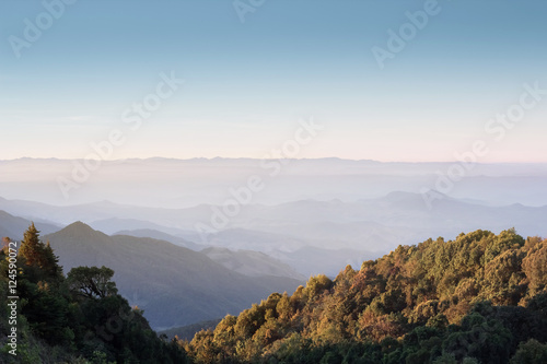 Fototapeta Naklejka Na Ścianę i Meble -  View of Doi Inthanon National Park at Chiang mai. The top highest mountain of Thailand, Landscape Chiang mai.
