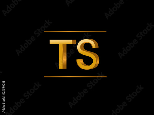 TS Initial Logo for your startup venture