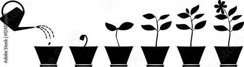 Scheme of flower growth. Silhouettes of plants in the flowerpot