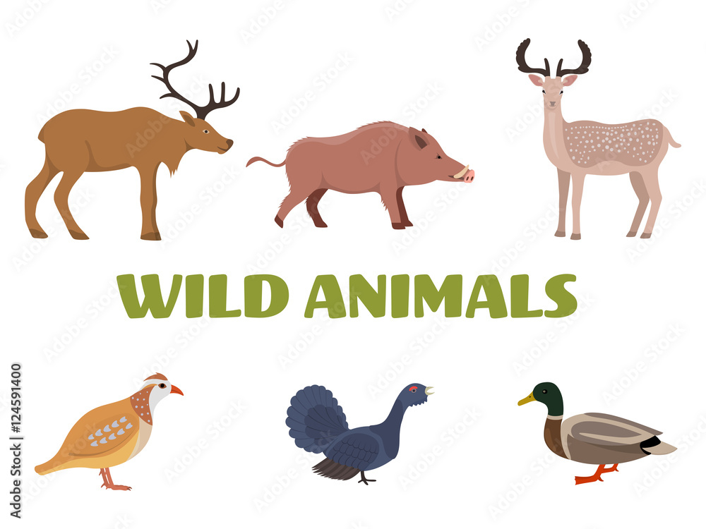 Wild forest animals with wild boar, deer, moose, duck, grouse and partridge. Vector illustration.