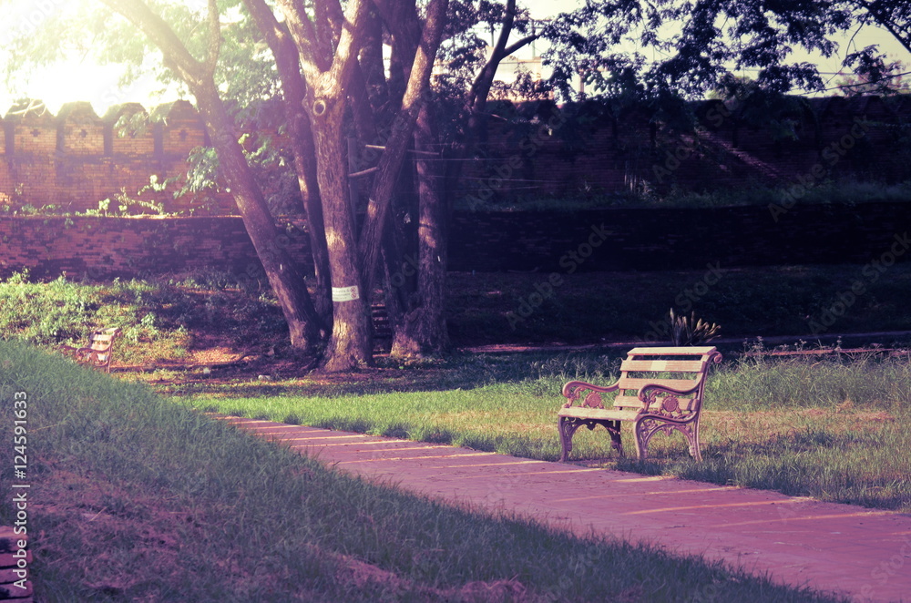 Beautiful scene in park on evening. Beautiful scene in park on evening.