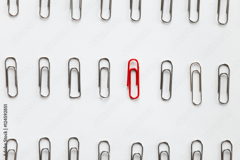 Metal paperclips in the rows, one red different from the others, white background, close up. Business concept, high angle Metal paperclips in the rows, one red different from the others, white background, close up. Business concept, high angle
