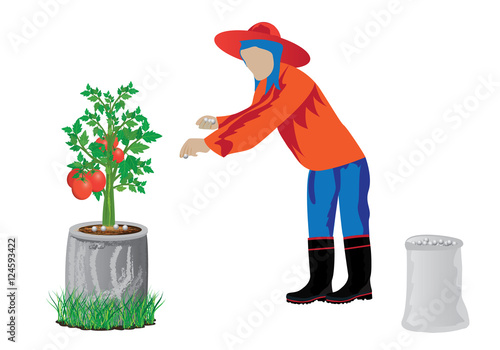 agriculturist manure tomato plant vector design