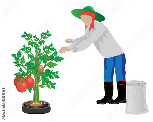 agriculturist manure tomato plant vector design