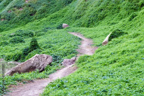 Mountain path in the national park near Khun Dan Dam, Nakohn Nay photo