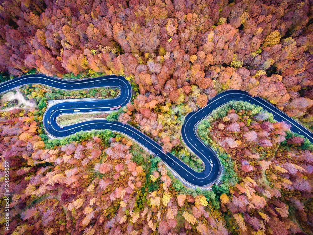 Fotobehang Luchtfoto Wegen Winding road trough the forest in Transylvania, Romania #124595827