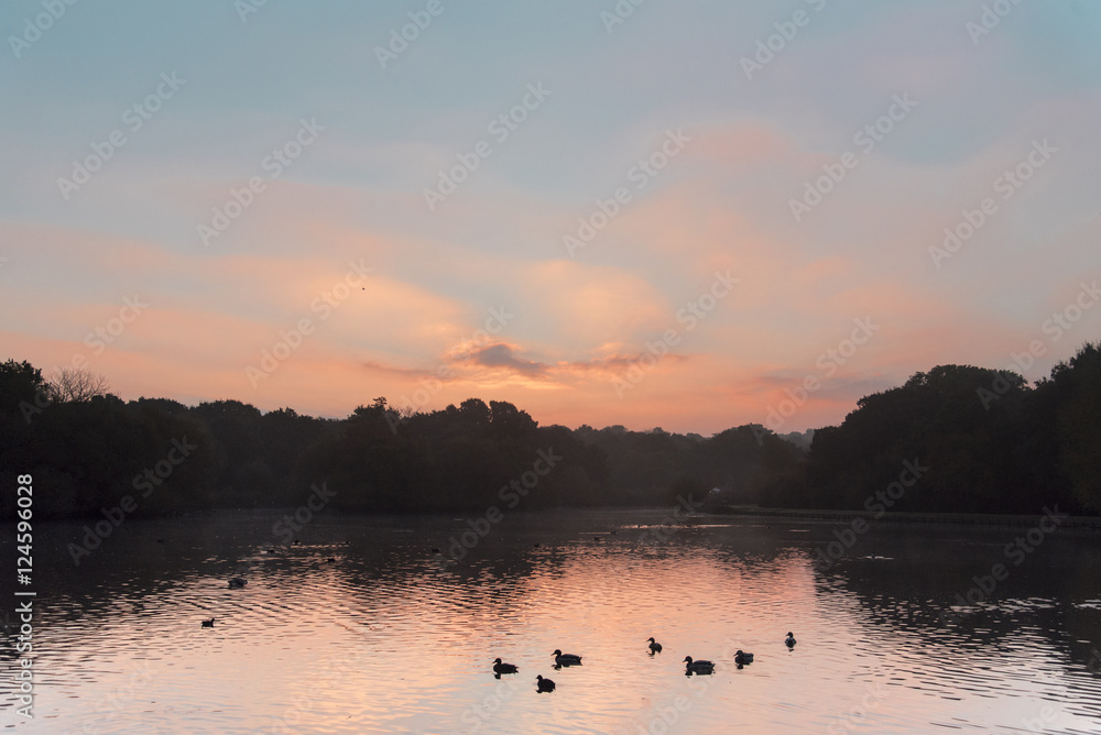 Fototapeta premium sunrise at the lake