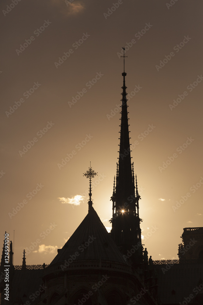 Obraz premium Backlight in the cathedral of Notre Dame, Paris, Ile-de-france,