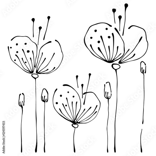Vector floral illustration. Flowers with leaves isolated on the white background. Hand drawn contour lines and strokes. Graphic vector illustration