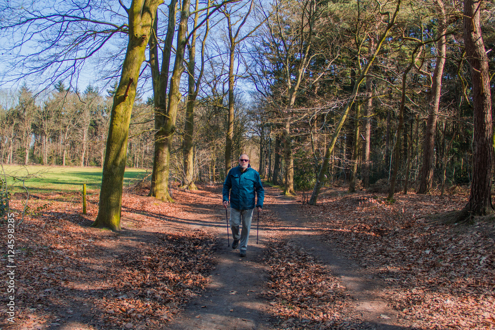 Senior at the Nordic walking in landscape of autumn forest Senior at the Nordic walking in landscape of autumn forest