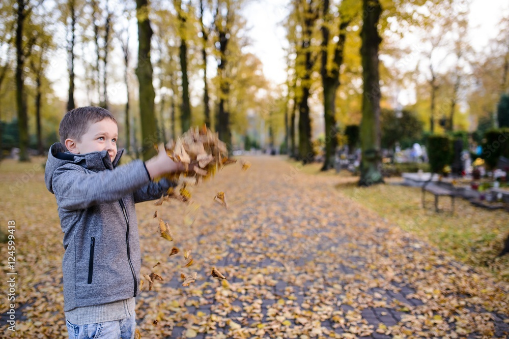 Fototapeta premium Happy child boy playing with colorful leaves