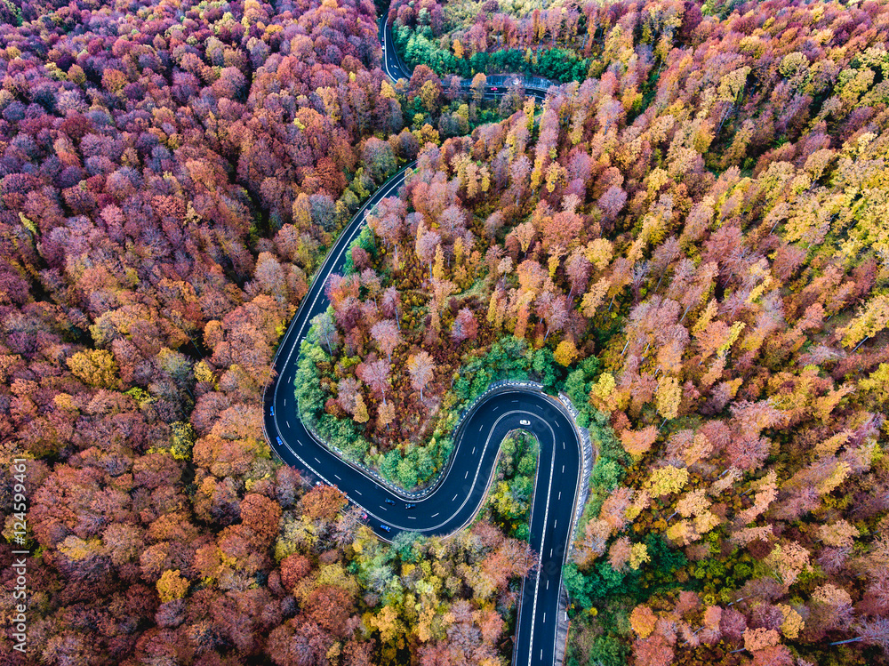 Fotobehang Luchtfoto Wegen Curved road trough the forest. Hi mountain pass in Transylvania, #124599461