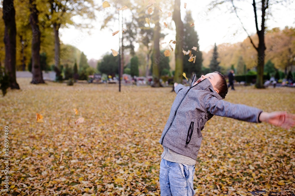 Happy child boy playing with colorful leaves Happy child boy playing with colorful leaves
