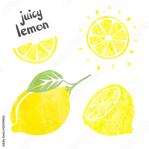 Lemon set. Vector watercolor collection of fresh lemon fruits.