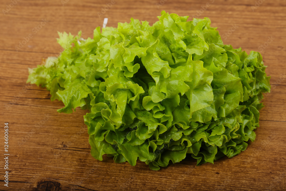 Salad leaves Salad leaves
