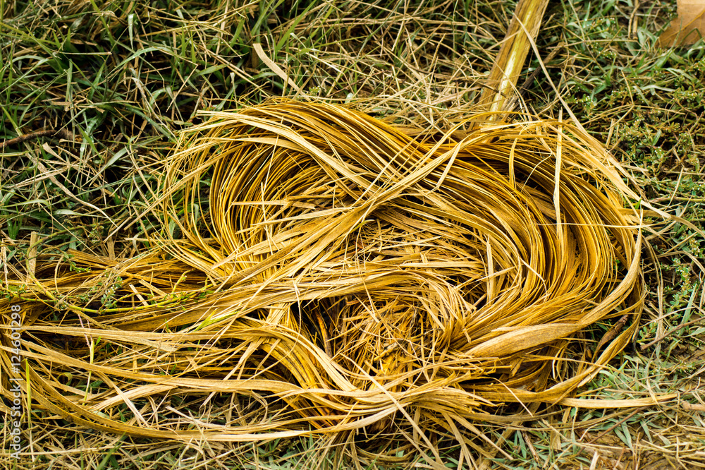 A yellow straw in shape of a heart on the grass