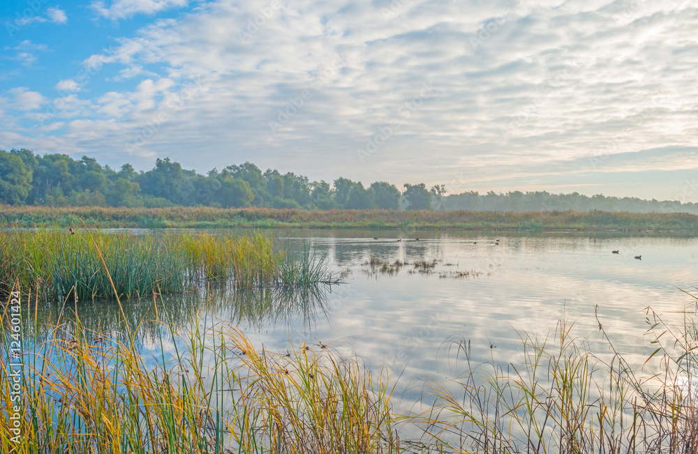 Shore of a lake at sunrise in autumn Shore of a lake at sunrise in autumn