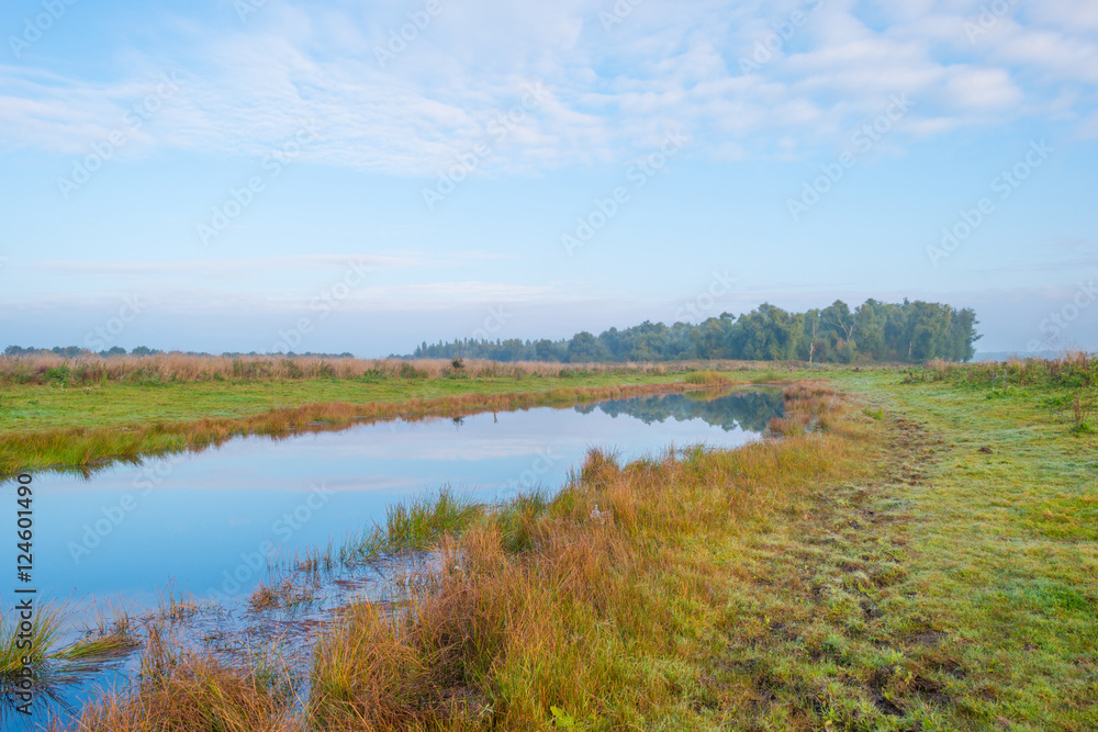 Shore of a lake at sunrise in autumn Shore of a lake at sunrise in autumn