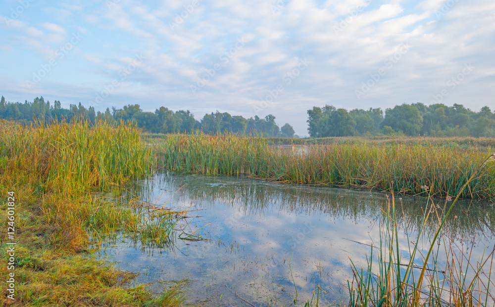 Fototapeta premium Shore of a lake at sunrise in autumn
