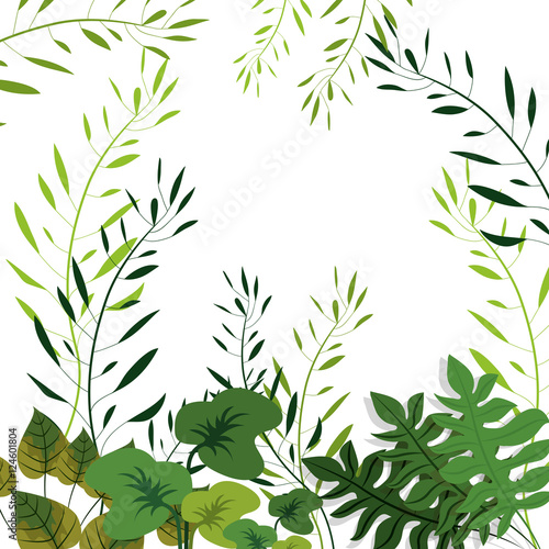 green tropical exotic natural leaves over white background. vector illustration
