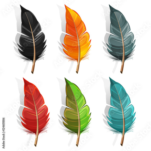Bird Feather Set