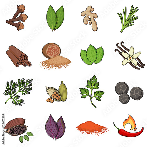 Herb and spices set icons in cartoon style. Big collection herb and spices vector symbol stock illustration