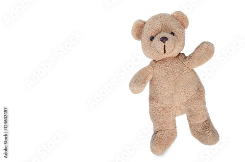 Teddy bear on white background.