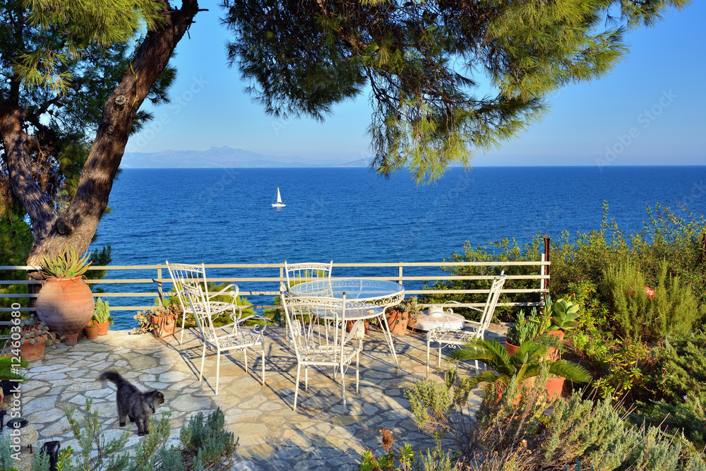 Picnic table and chairs in shadow of pine trees. Aegean coast, A