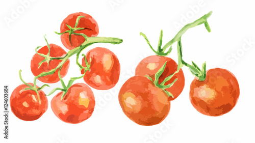 Watercolor tomatoes set on white background. Healthy and ripe fresh vegetables for cooking and decoration.