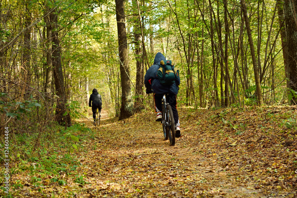 Walk on the bike through the woods