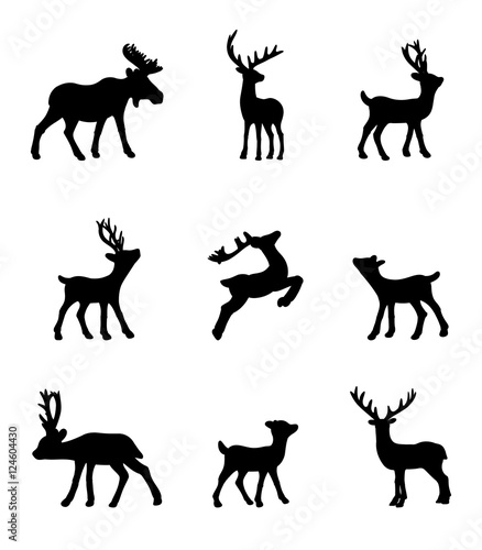 Fototapeta Naklejka Na Ścianę i Meble -  Set of deer