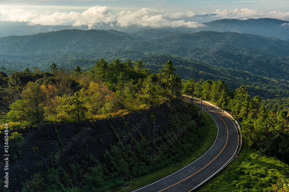 Fototapeta premium road in mountain forest
