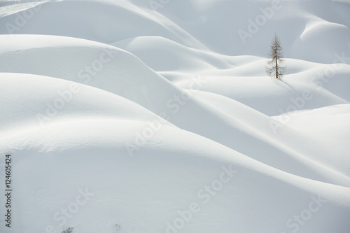 Snow, winter mountain landscape, tree alone