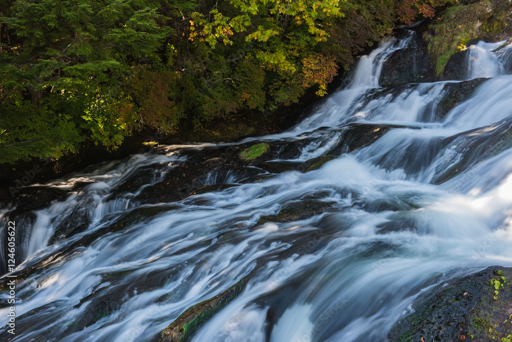 Fototapeta premium Nature waterfall in the forest water stream.