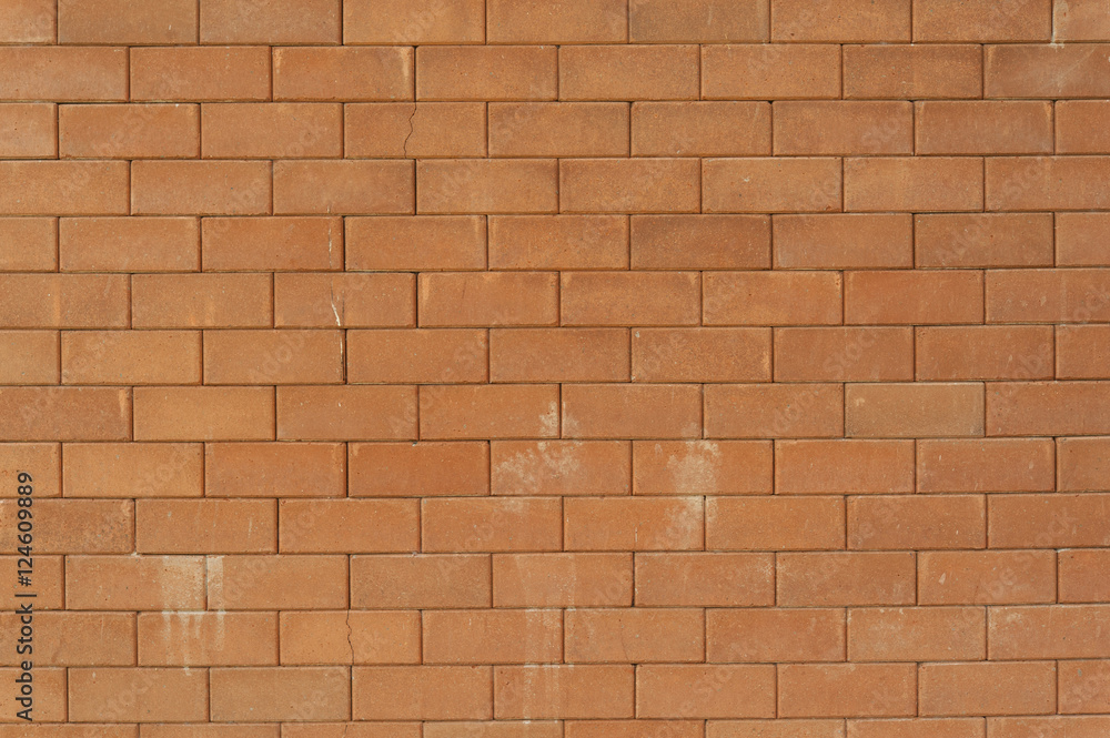 Obraz premium Brick wall