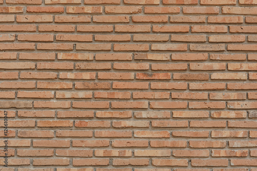 Fototapeta premium Brick wall
