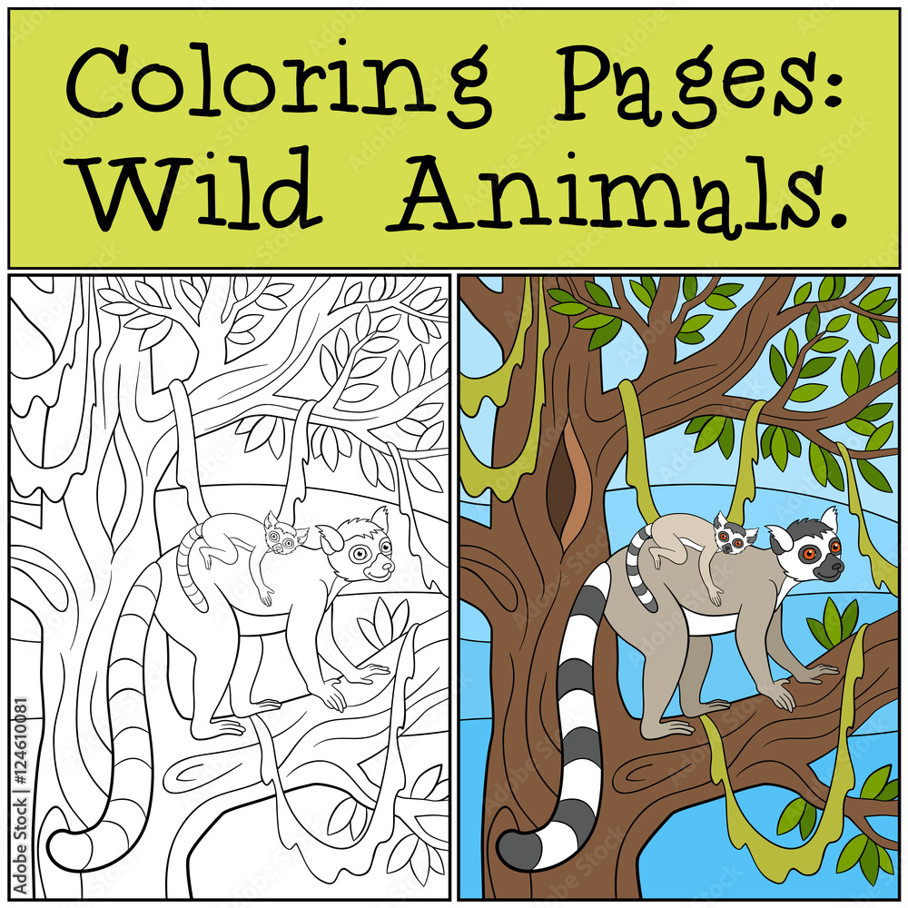 Coloring Pages: Wild Animals. Mother lemur with her baby.