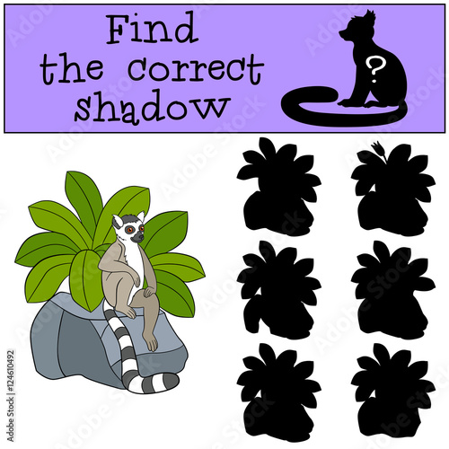 Educational game: Find the correct shadow. Little cute lemur.