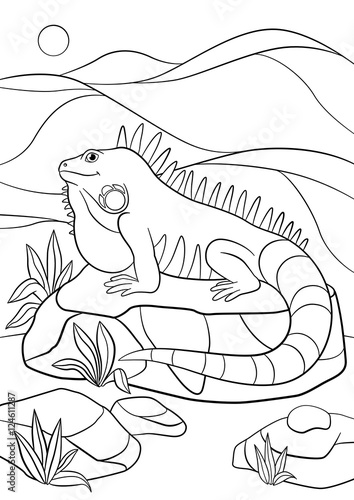 Coloring pages. Cute iguana sits on the rock.