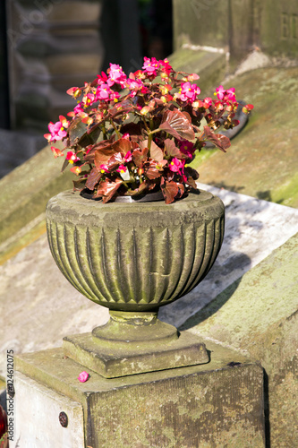 Old stone vase with pink flowers
