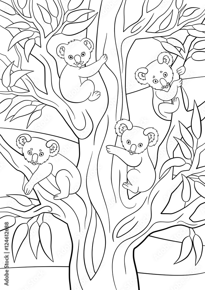 Fototapeta premium Kolorowanki. Cztery małe koale siedzą na drzewie.