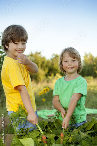 boys with a carrot and in the garden, children harvest vegetable