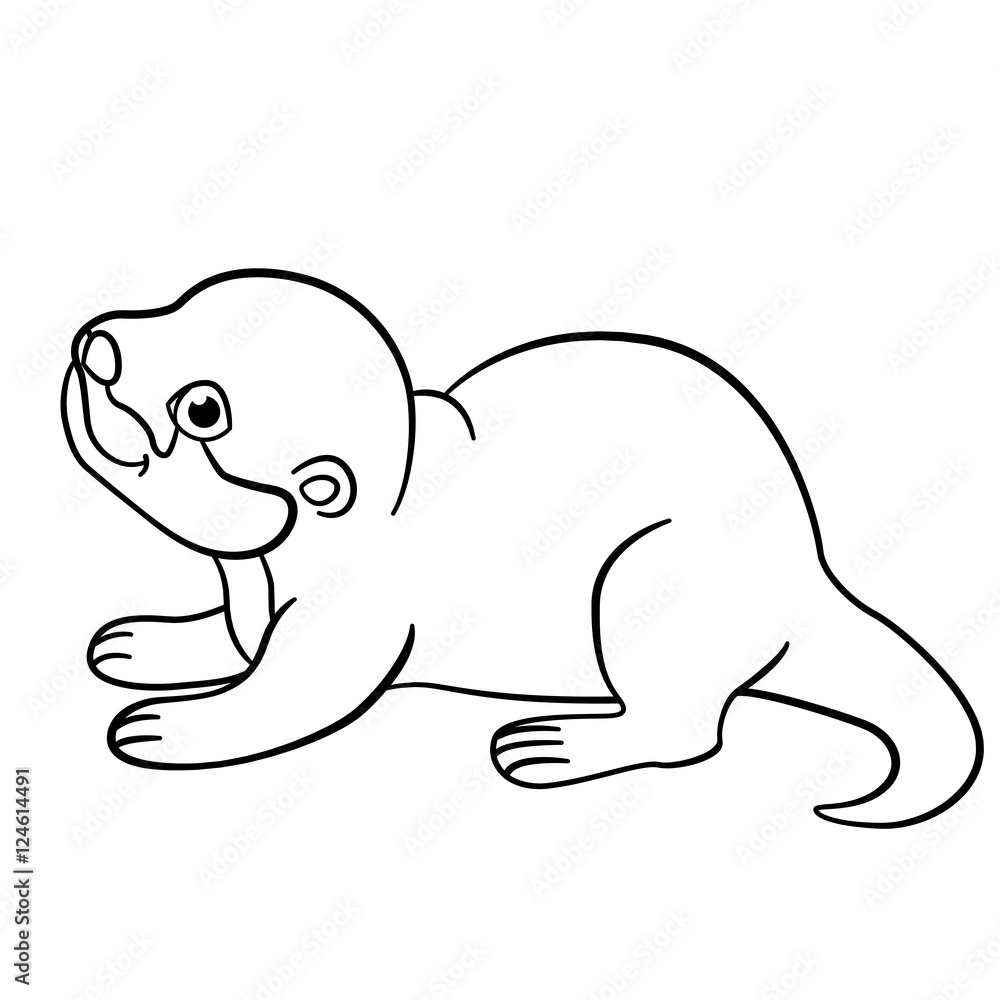 Fototapeta premium Coloring pages. Little cute baby otter smiles.