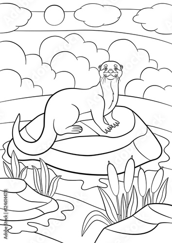 Fototapeta Naklejka Na Ścianę i Meble -  Coloring pages. Little cute otter stands on the stone.